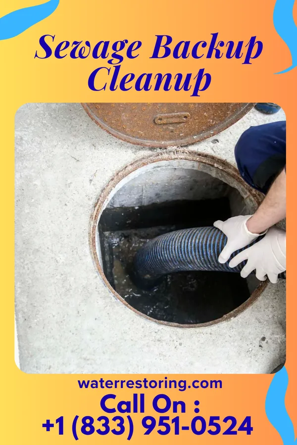 Sewage Backup Cleanup in Mifflinburg, PA